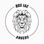 Logo BDS IAE Angers